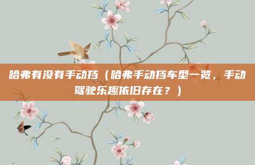 哈弗有没有手动挡(哈弗手动挡车型一览,手动驾驶乐趣依旧存在?)
