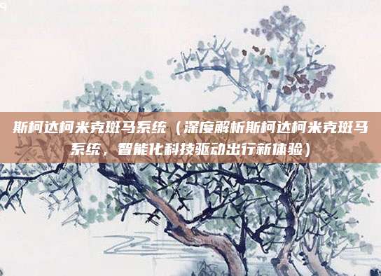 斯柯达柯米克斑马系统(深度解析斯柯达柯米克斑马系统,智能化科技驱动出行新体验)