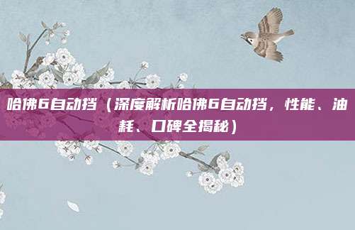 哈佛6自动挡(深度解析哈佛6自动挡,性能、油耗、口碑全揭秘)