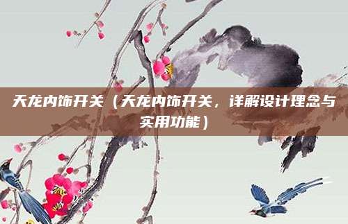 天龙内饰开关(天龙内饰开关,详解设计理念与实用功能)