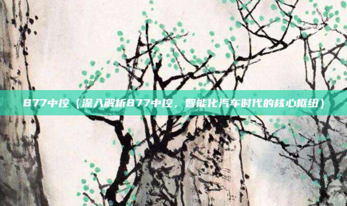 877中控(深入解析877中控,智能化汽车时代的核心枢纽)