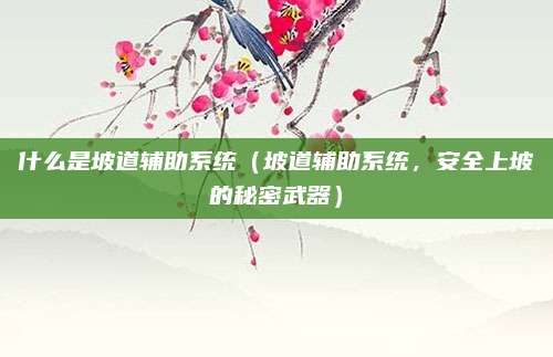 什么是坡道辅助系统（坡道辅助系统，安全上坡的秘密武器）