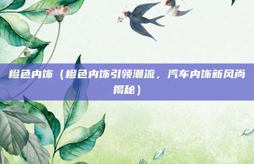 橙色内饰(橙色内饰引领潮流,汽车内饰新风尚揭秘)