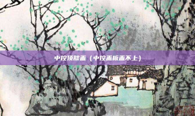 中控顶膝盖(中控盖板盖不上)