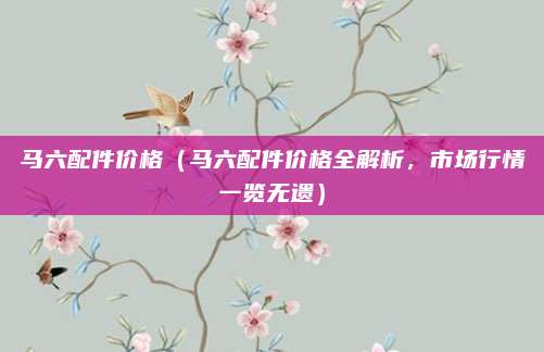 马六配件价格(马六配件价格全解析,市场行情一览无遗)