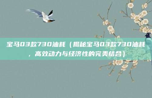 宝马03款730油耗(揭秘宝马03款730油耗,高效动力与经济性的完美结合)