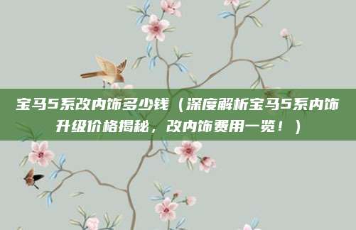 宝马5系改内饰多少钱(深度解析宝马5系内饰升级价格揭秘,改内饰费用一览!)