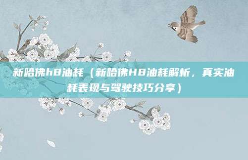 新哈佛h8油耗(新哈佛H8油耗解析,真实油耗表现与驾驶技巧分享)