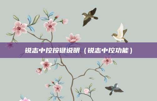 锐志中控按键说明(锐志中控功能)