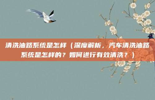 清洗油路系统是怎样(深度解析,汽车清洗油路系统是怎样的?如何进行有效清洗?)