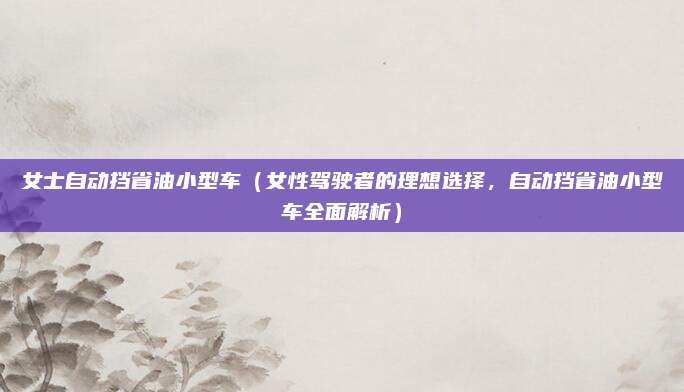 女士自动挡省油小型车(女性驾驶者的理想选择,自动挡省油小型车全面解析)