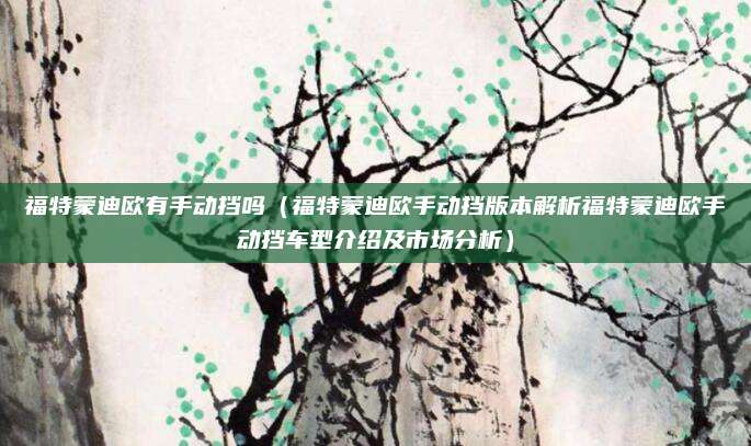 福特蒙迪欧有手动挡吗(福特蒙迪欧手动挡版本解析福特蒙迪欧手动挡车型介绍及市场分析)