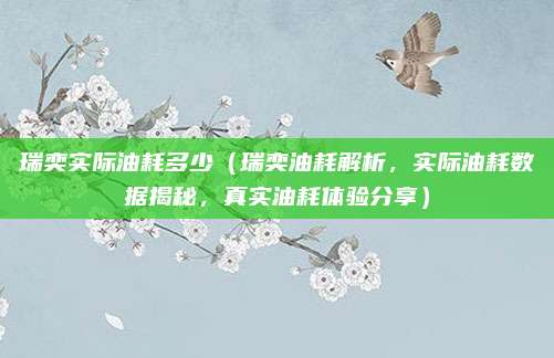 瑞奕实际油耗多少(瑞奕油耗解析,实际油耗数据揭秘,真实油耗体验分享)