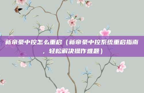 新帝豪中控怎么重启(新帝豪中控系统重启指南,轻松解决操作难题)