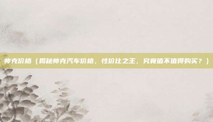 帅克价格（揭秘帅克汽车价格，性价比之王，究竟值不值得购买？）