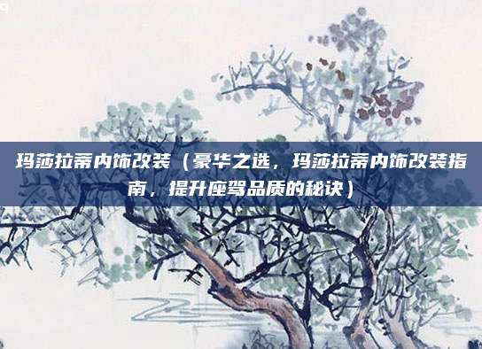 玛莎拉蒂内饰改装(豪华之选,玛莎拉蒂内饰改装指南,提升座驾品质的秘诀)