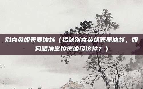 别克英朗表显油耗(揭秘别克英朗表显油耗,如何精准掌控燃油经济性?)