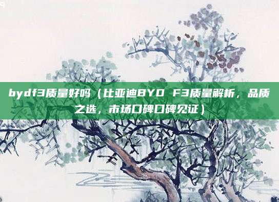 bydf3质量好吗(比亚迪BYD F3质量解析,品质之选,市场口碑口碑见证)