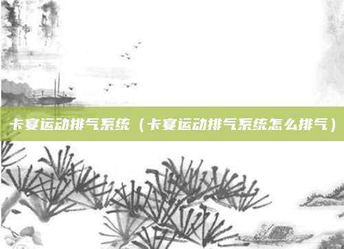 卡宴运动排气系统(卡宴运动排气系统怎么排气)