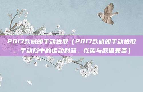 2017款威朗手动进取(2017款威朗手动进取,手动挡中的运动利器,性能与颜值兼备)