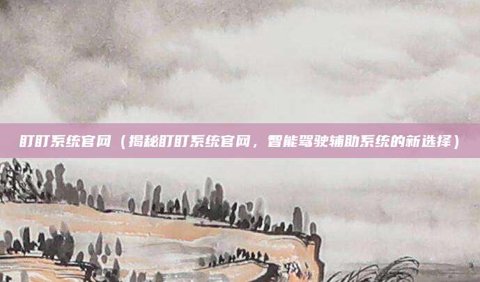 盯盯系统官网(揭秘盯盯系统官网,智能驾驶辅助系统的新选择)