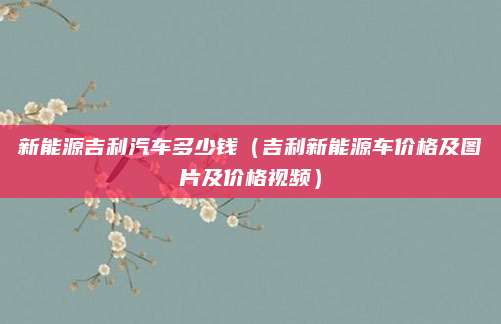 新能源吉利汽车多少钱(吉利新能源车价格及图片及价格视频)