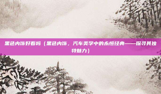 黑色内饰好看吗(黑色内饰,汽车美学中的永恒经典——探寻其独特魅力)