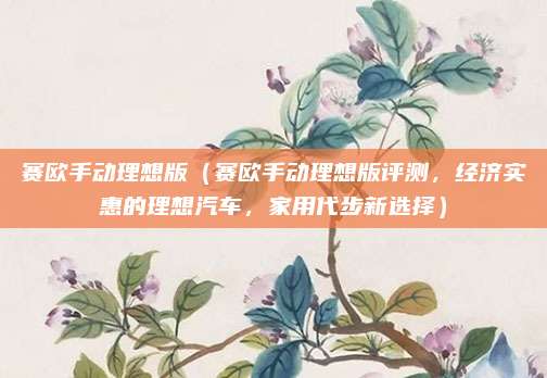 赛欧手动理想版(赛欧手动理想版评测,经济实惠的理想汽车,家用代步新选择)