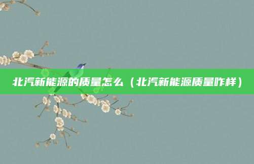 北汽新能源的质量怎么(北汽新能源质量咋样)