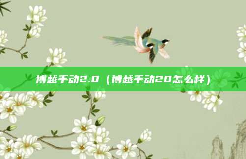 博越手动2.0(博越手动20怎么样)