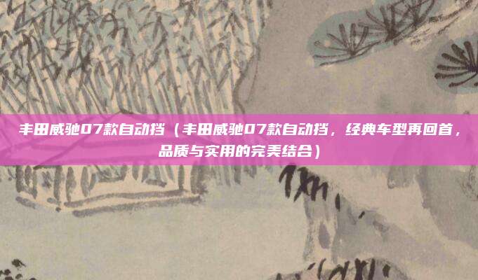 丰田威驰07款自动挡（丰田威驰07款自动挡，经典车型再回首，品质与实用的完美结合）