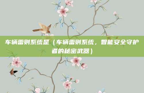 车辆雷则系统是(车辆雷则系统,智能安全守护者的秘密武器)