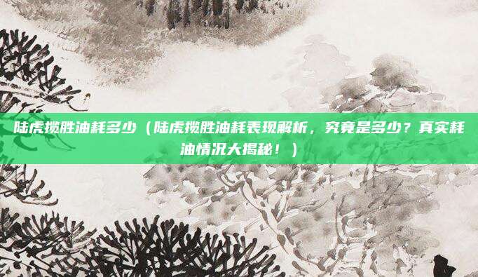 陆虎揽胜油耗多少（陆虎揽胜油耗表现解析，究竟是多少？真实耗油情况大揭秘！）