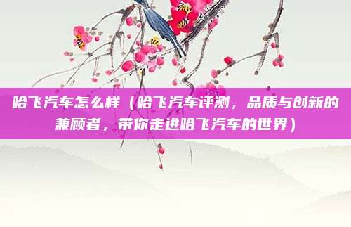 哈飞汽车怎么样（哈飞汽车评测，品质与创新的兼顾者，带你走进哈飞汽车的世界）
