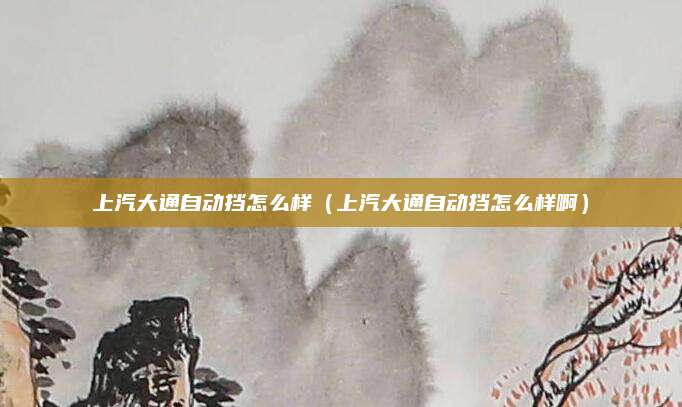 上汽大通自动挡怎么样（上汽大通自动挡怎么样啊）