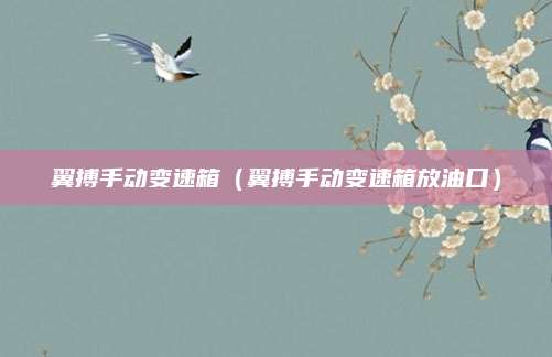 翼搏手动变速箱(翼搏手动变速箱放油口)