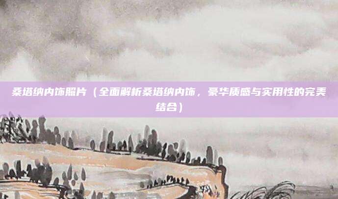 桑塔纳内饰照片(全面解析桑塔纳内饰,豪华质感与实用性的完美结合)