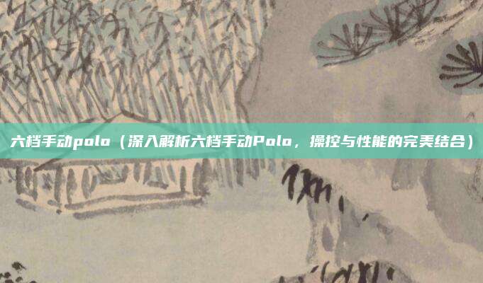 六档手动polo(深入解析六档手动Polo,操控与性能的完美结合)
