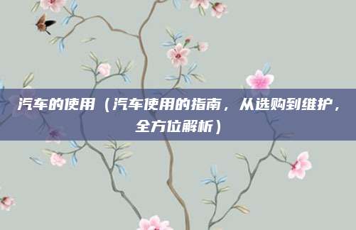 汽车的使用(汽车使用的指南,从选购到维护,全方位解析)