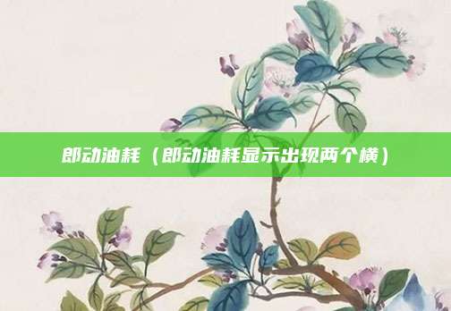 郎动油耗(郎动油耗显示出现两个横)