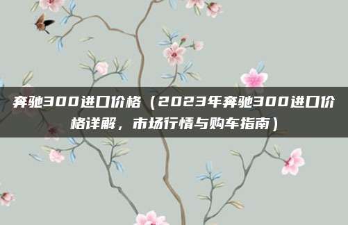 奔驰300进口价格(2023年奔驰300进口价格详解,市场行情与购车指南)