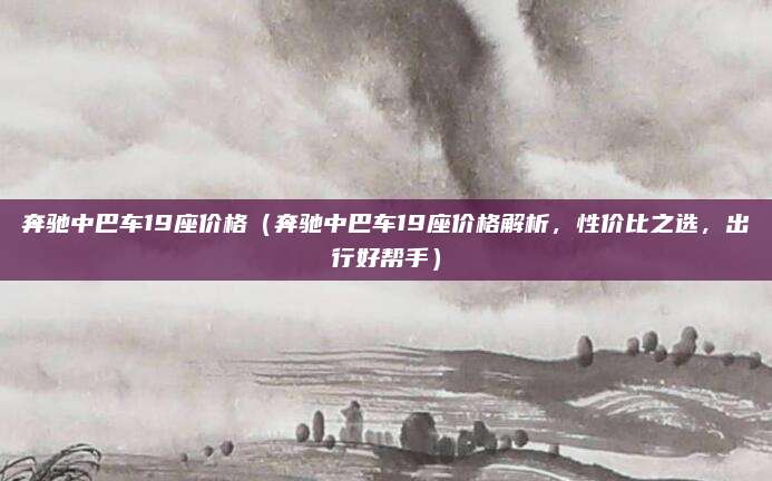 奔驰中巴车19座价格(奔驰中巴车19座价格解析,性价比之选,出行好帮手)