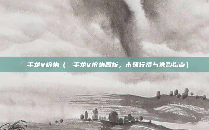 二手龙V价格(二手龙V价格解析,市场行情与选购指南)