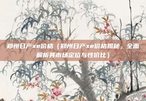 郑州日产xe价格(郑州日产xe价格揭秘,全面解析其市场定位与性价比)