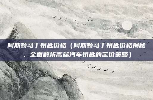 阿斯顿马丁钥匙价格(阿斯顿马丁钥匙价格揭秘,全面解析高端汽车钥匙的定价策略)
