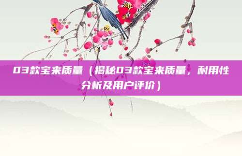 03款宝来质量(揭秘03款宝来质量,耐用性分析及用户评价)