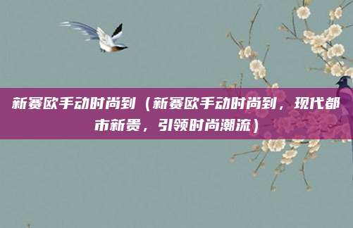 新赛欧手动时尚到(新赛欧手动时尚到,现代都市新贵,引领时尚潮流)