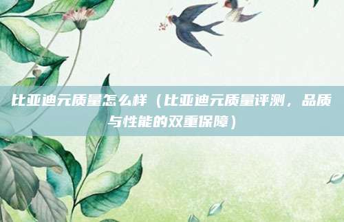 比亚迪元质量怎么样(比亚迪元质量评测,品质与性能的双重保障)