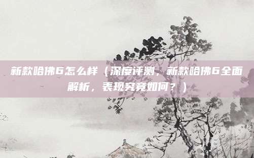 新款哈佛6怎么样（深度评测，新款哈佛6全面解析，表现究竟如何？）