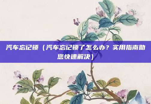 汽车忘记锁（汽车忘记锁了怎么办？实用指南助您快速解决）
